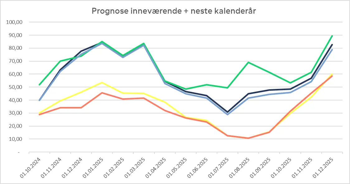 Prognose for strømpriser i Norge fra oktober 2024 og ut 2025. Alle priser er oppgitt uten moms.