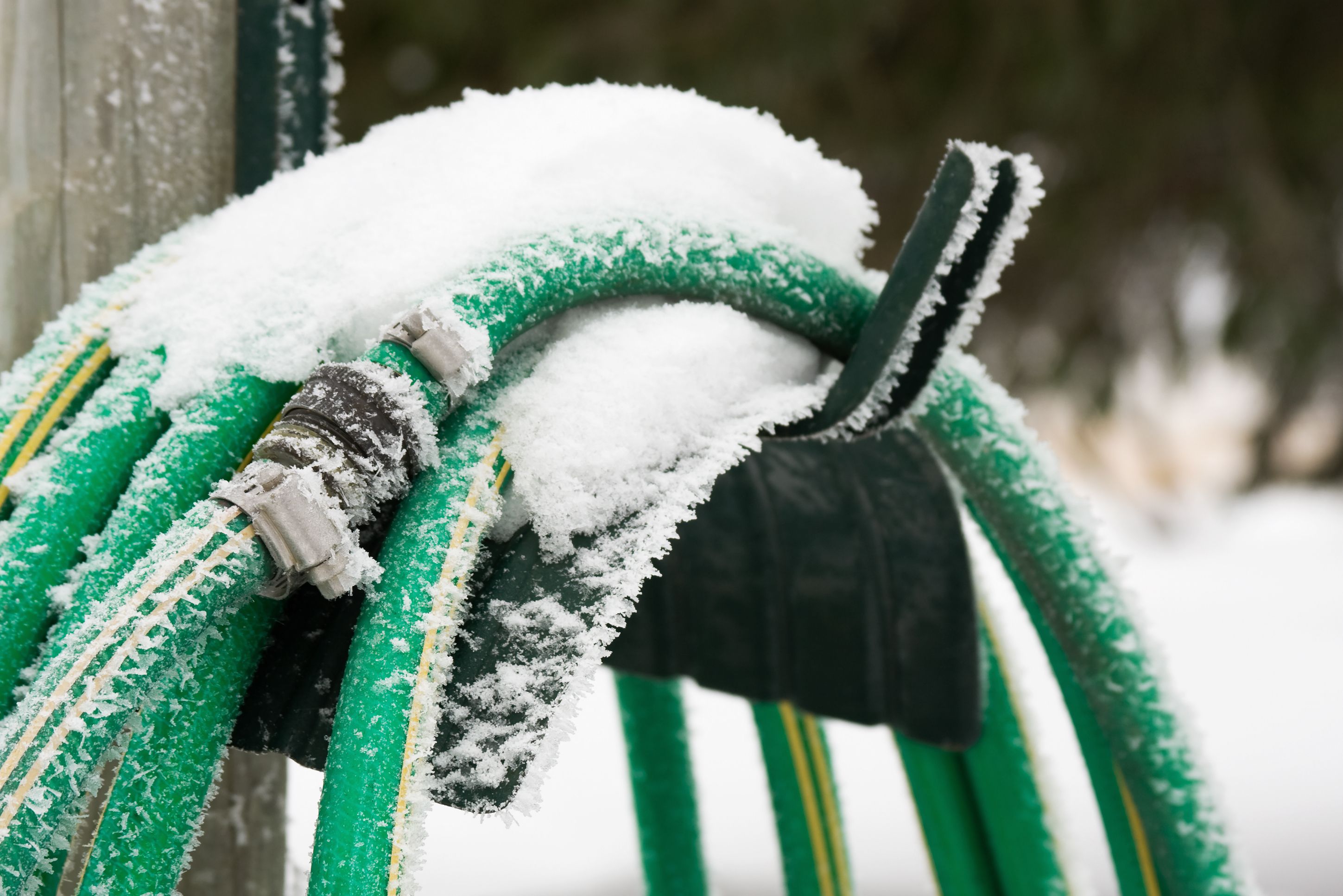 Hageslange med snø på